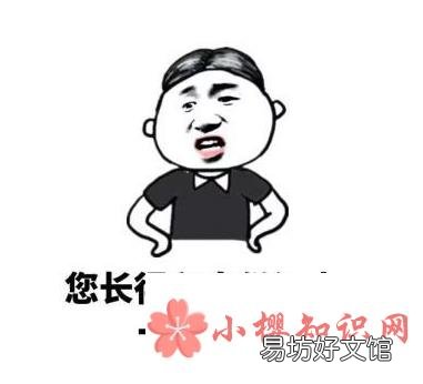 有哪些霸气的、骂人不带脏字的话?