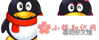 qq账号查找是怎么添加的?