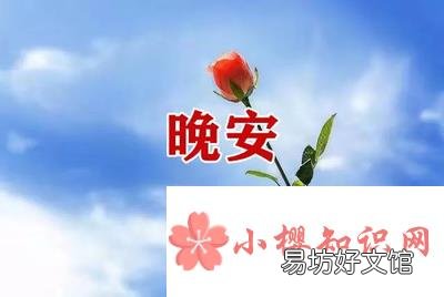 睡前一句暖心话有哪些?