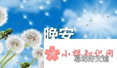 睡前一句暖心话有哪些?
