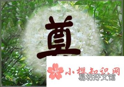 悼念刚去世长辈的短句有哪些?
