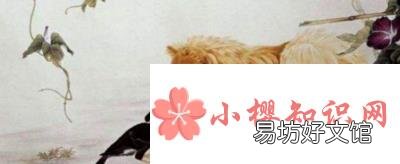 相亲相爱是什么生肖?
