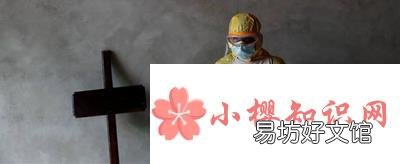 树有心眼猜13个字答案？