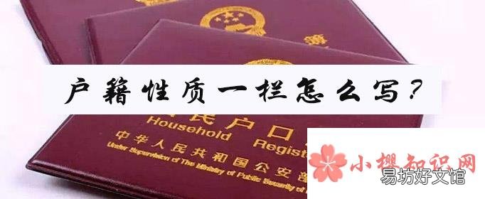 户籍性质一栏怎么写?
