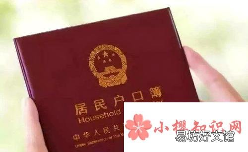 户籍性质一栏怎么写?