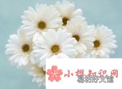 老人去世祝福语有哪些?