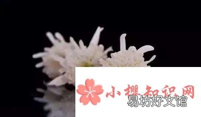 老人去世祝福语有哪些?