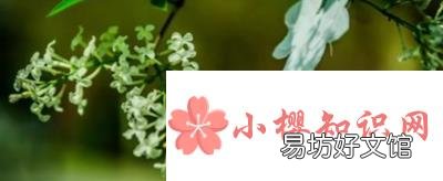 老人去世祝福语有哪些?