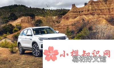 国产车哪个品牌好？