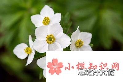 有哪些含有寓意的班名?