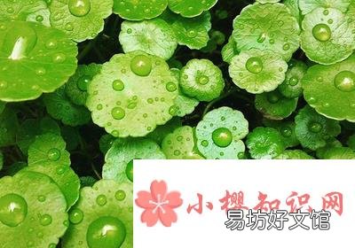 有哪些含有寓意的班名?