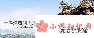 文化产业管理专业学什么?