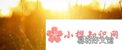 有哪些超级温柔干净的文案?