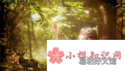 有哪些超级温柔干净的文案?