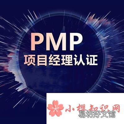 pmp是什么意思?