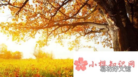 adv是什么词性?