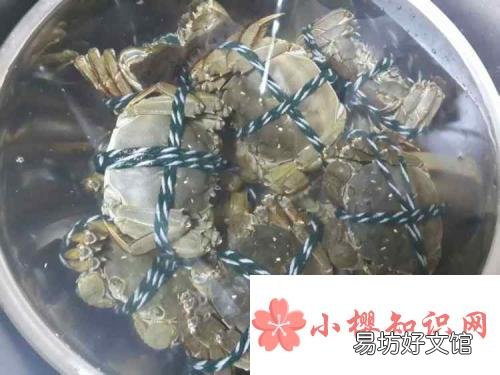蒸大闸蟹需要多长时间?