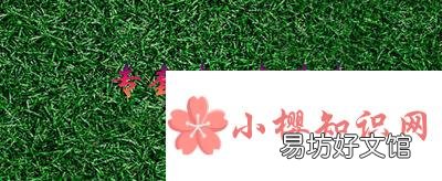 专套本和专升本有什么区别？