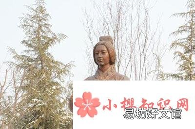 嬴政和芈月是什么关系？