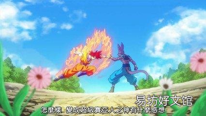 龙珠比鲁斯是什么猫(破坏神比鲁斯是什么猫)