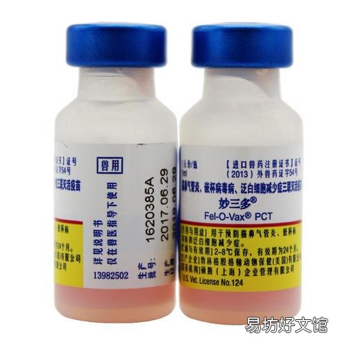 猫多大打疫苗(猫多大打疫苗比较好)
