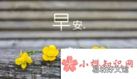 关于清晨的阳光的唯美句子有哪些?