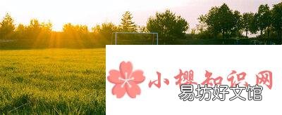 关于清晨的阳光的唯美句子有哪些?