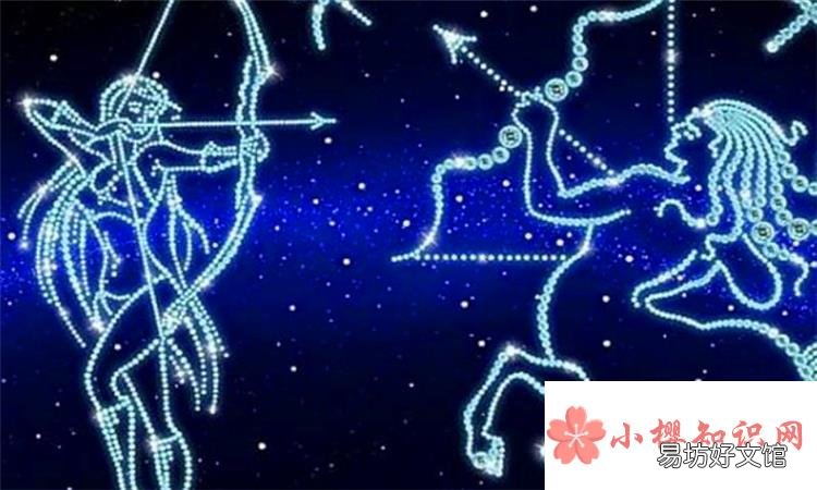 射手女和哪个星座合适