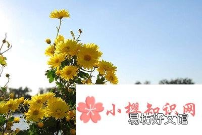 九月九重阳节的意义是什么？