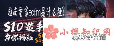 越南首富sofm是什么梗？