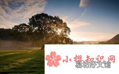 形容眼睛好看的句子有哪些?