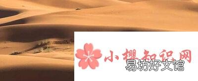 埃及属于哪个洲?
