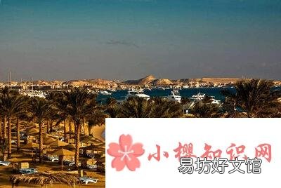 埃及属于哪个洲?