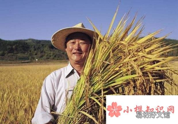 农民工的工作单位怎么填?