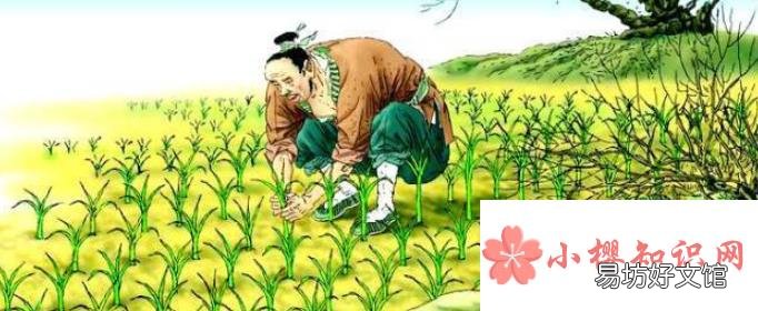 《拔苗助长》告诉我们什么道理？