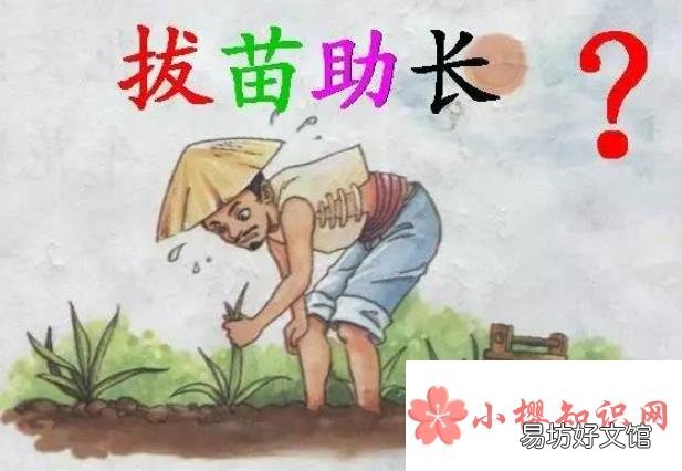 《拔苗助长》告诉我们什么道理？