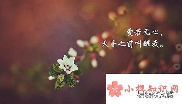 温馨的早安祝福语有哪些?