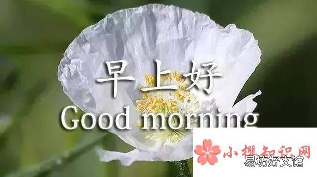 温馨的早安祝福语有哪些?