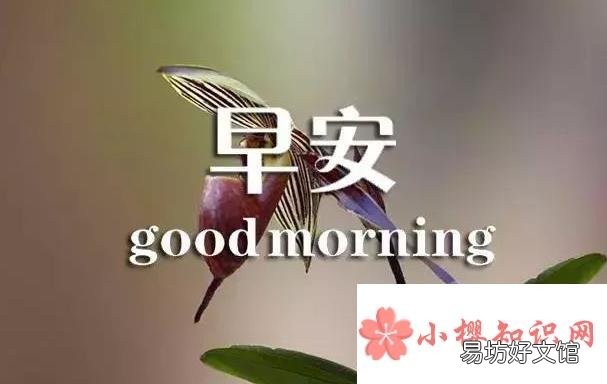 温馨的早安祝福语有哪些?