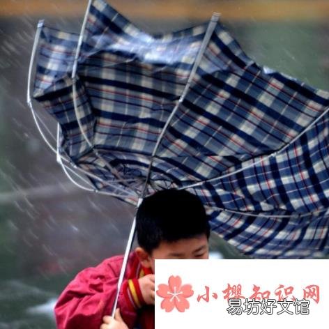 解落三秋叶能开二月花写的是什么意思?