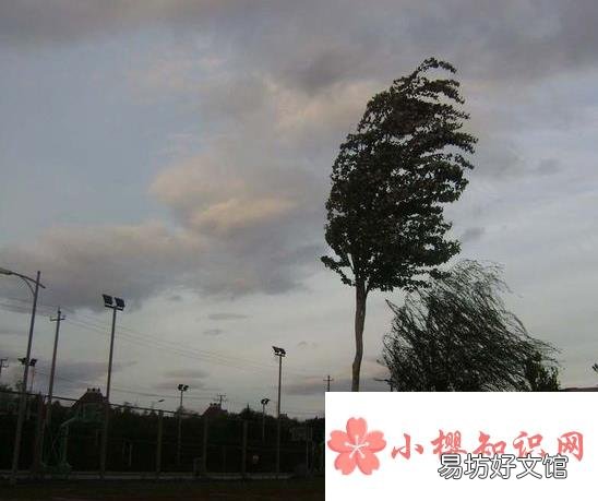 解落三秋叶能开二月花写的是什么意思?