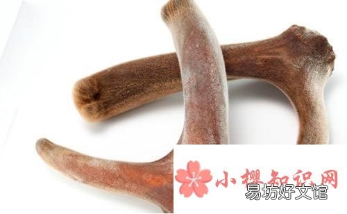 东北三宝是指什么？