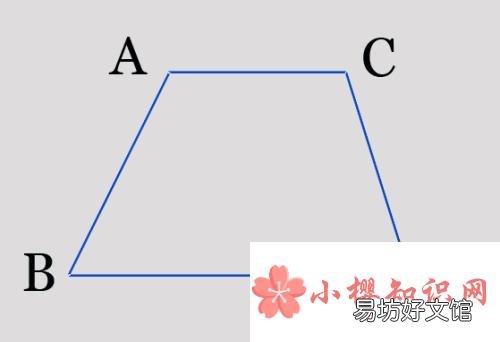 四边形包括哪些图形?