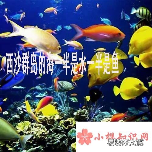 西沙群岛的海里一半是水一半是鱼是啥修辞手法？