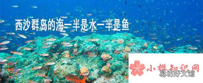 西沙群岛的海里一半是水一半是鱼是啥修辞手法？
