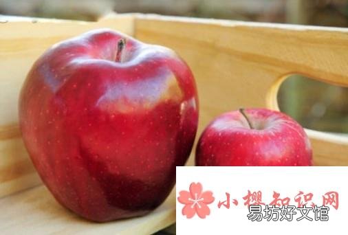 吃苹果为什么不能啃苹果核？