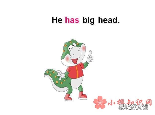 have和has的区别是什么?