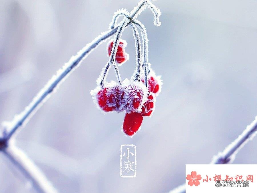 小寒大寒是什么意思?