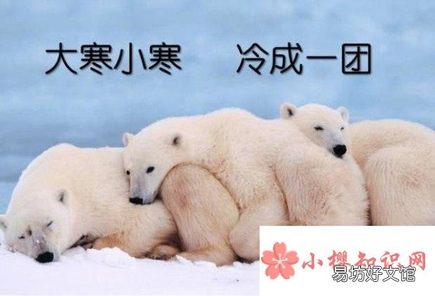 小寒大寒是什么意思?