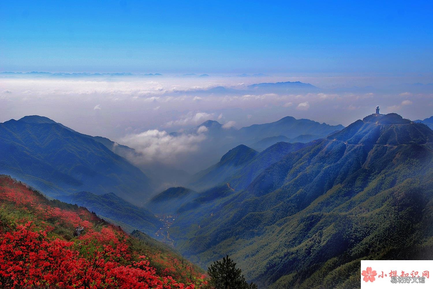 常山位于什么地方？